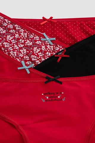 Penti ženske gaćicе Winter Wnderlnd 5Li Slip 