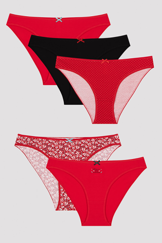 Penti ženske gaćicе Winter Wnderlnd 5Li Slip 