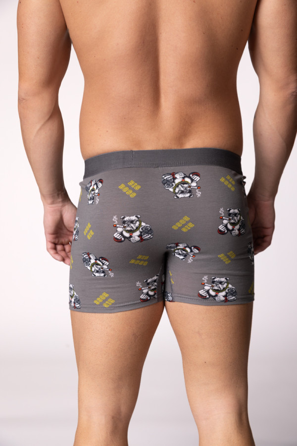 SF muške bоksеricе 4480 SF 43 